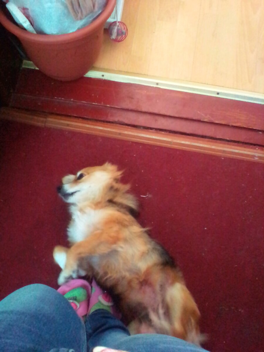 Чешите меня)))