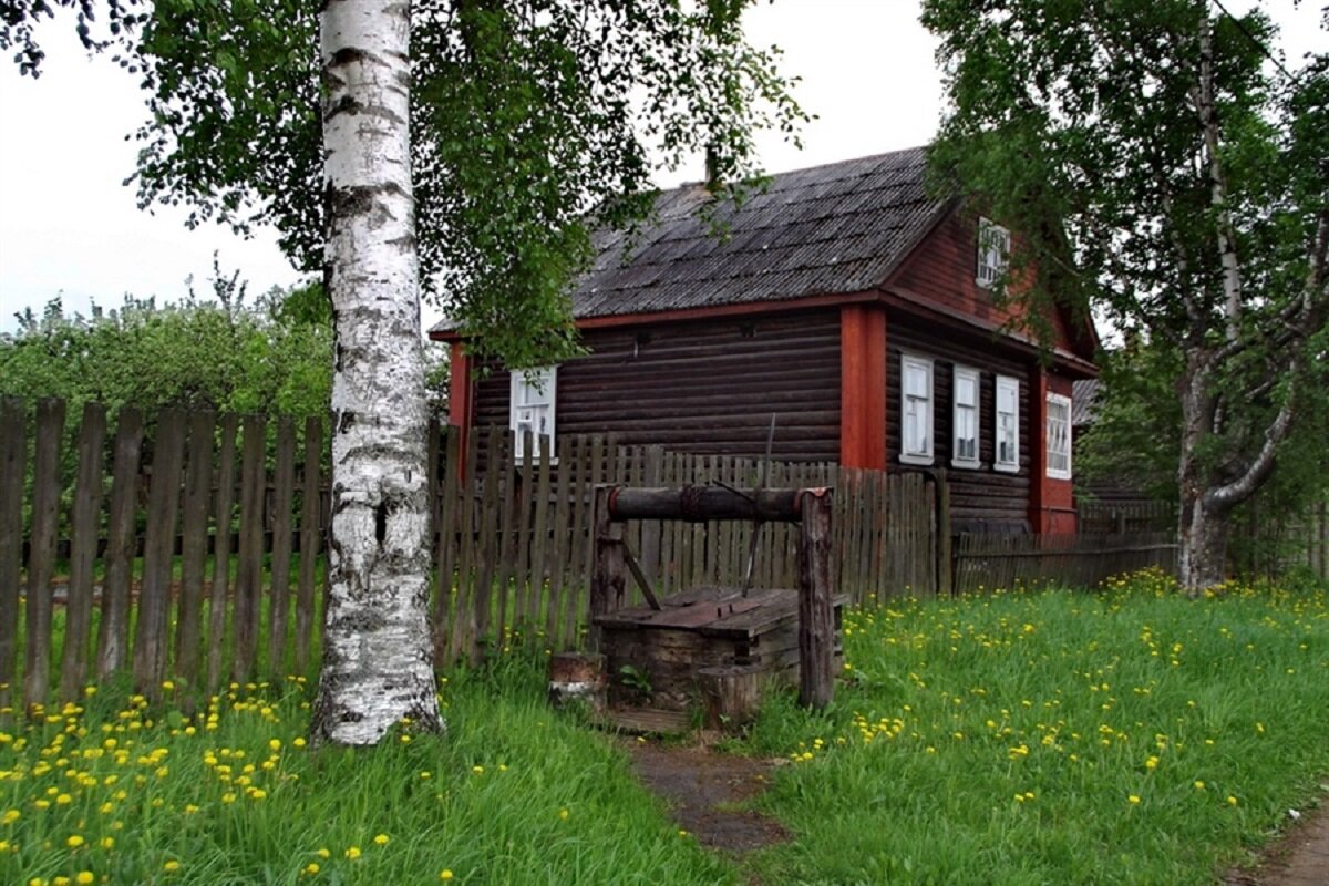 Село летня. Деревенский дом с березой. Домик в деревне с березой. Деревенский домик с колодцем. Домик с березами.