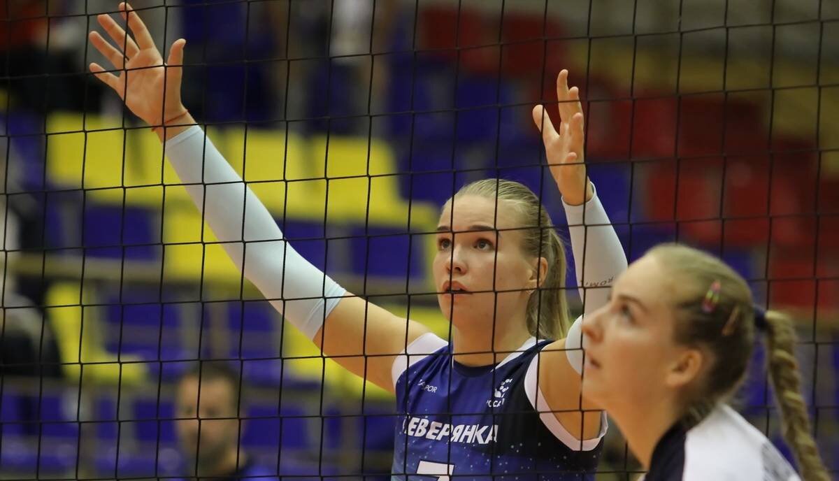 Фото: http://chervolley.ru/