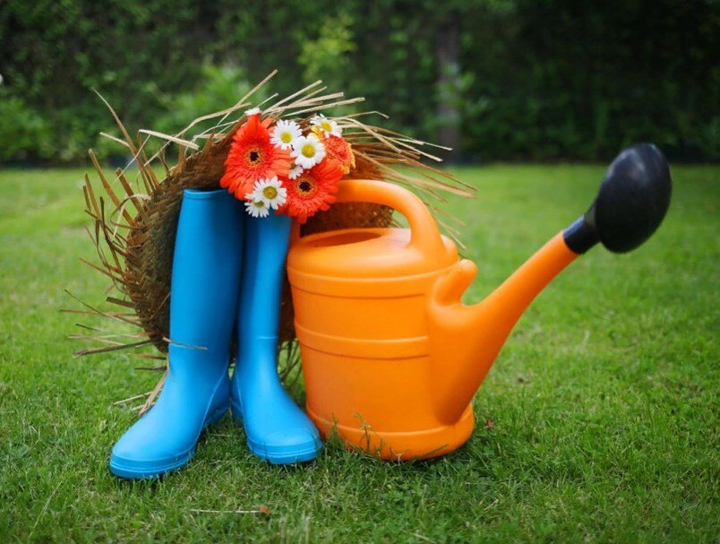 Изображение с бесплатной платформы pixabay.com