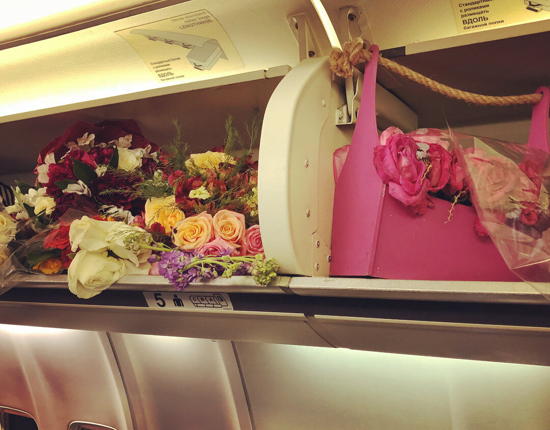 Растение в самолет можно. Самолет и цветы. Букет самолет. Самолет с цветами. Цветы в салоне самолета.