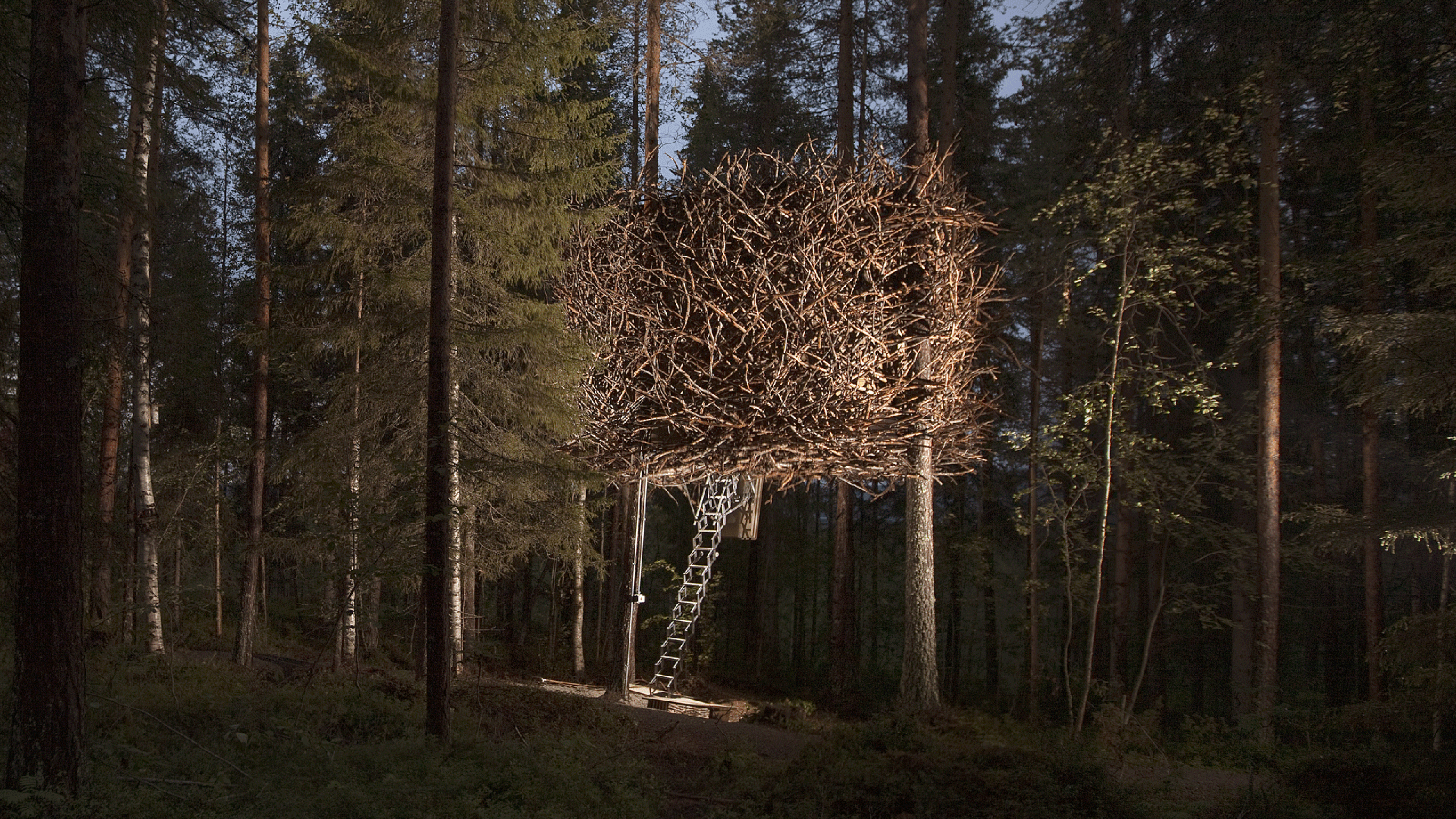 Tree hotel швеция харадс презентация