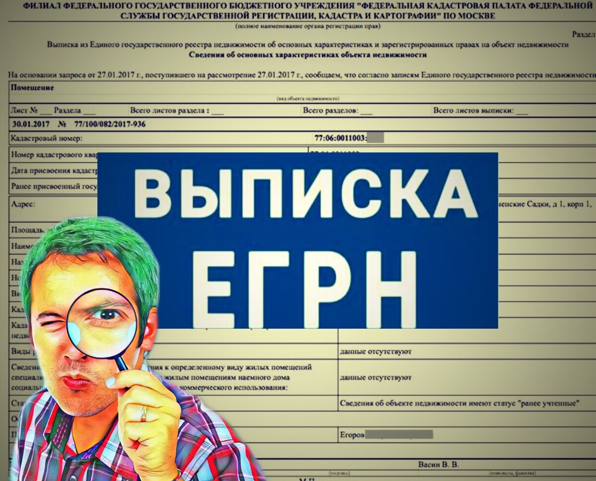 Выписка из ЕГРН