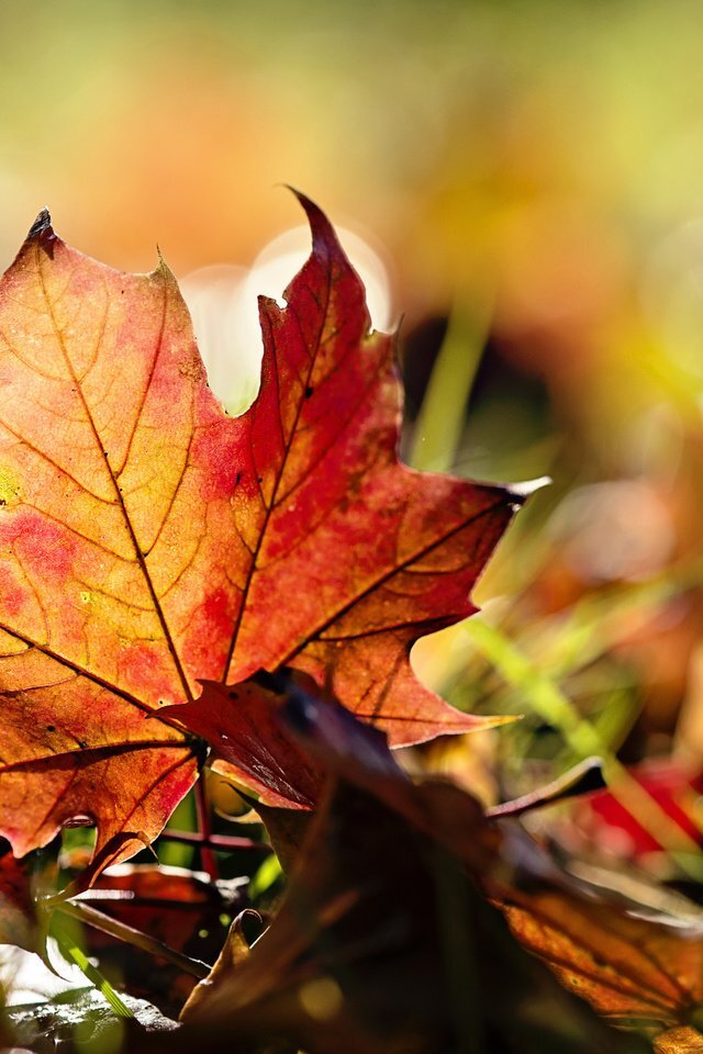 Мы надеемся на ваши комментарии, подписку на канал, а также группу ВКонтакте:-)