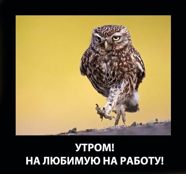 Именно с таким выражением шла