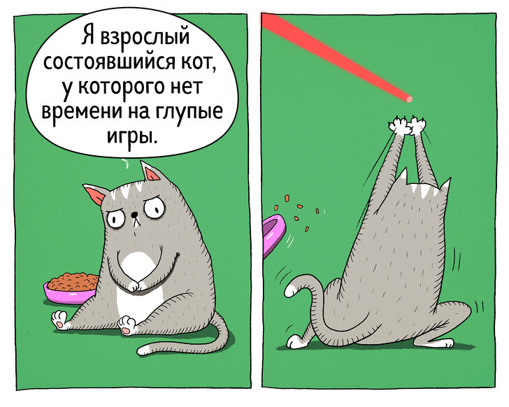 Смешные комиксы с котами мемы