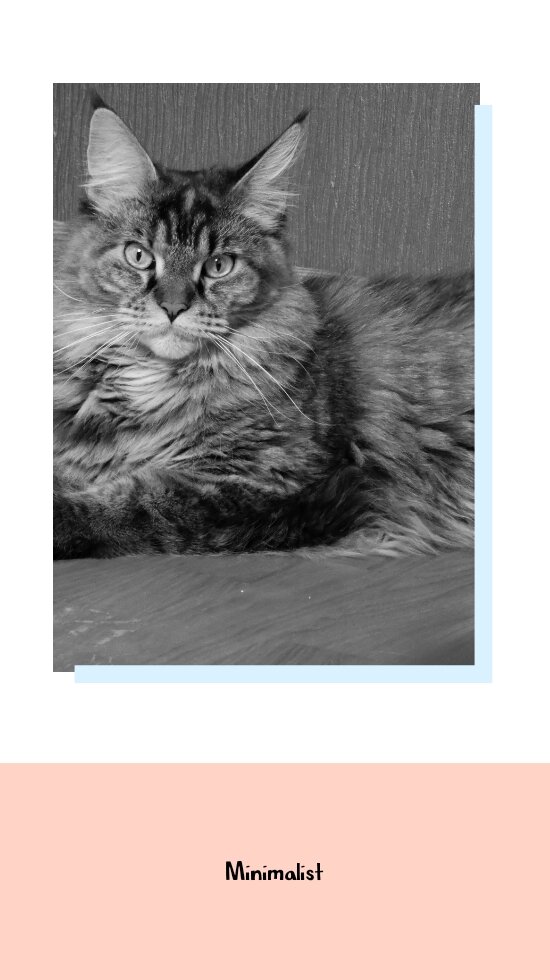 Антибиотики