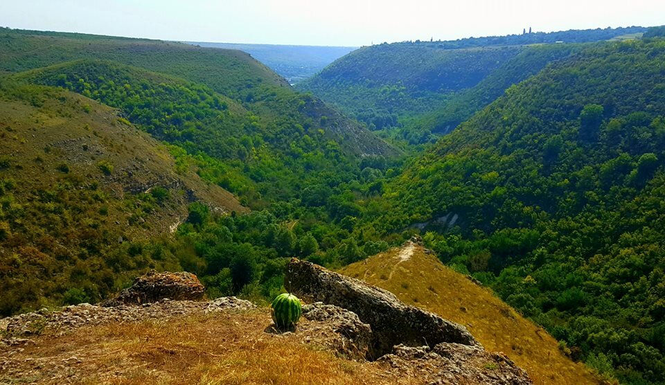 Фото свободный источник