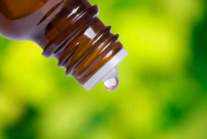 Источник profogorod.ru