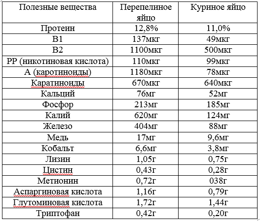Семейная ферма "птичье царство"