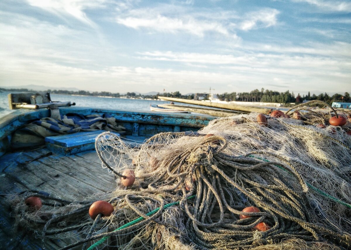 https://www.pexels.com/photo/fish-net-on-gray-surface-891118/