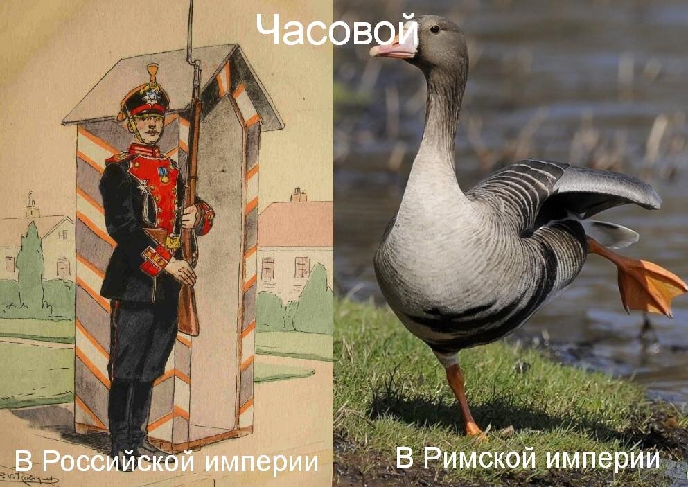 )))