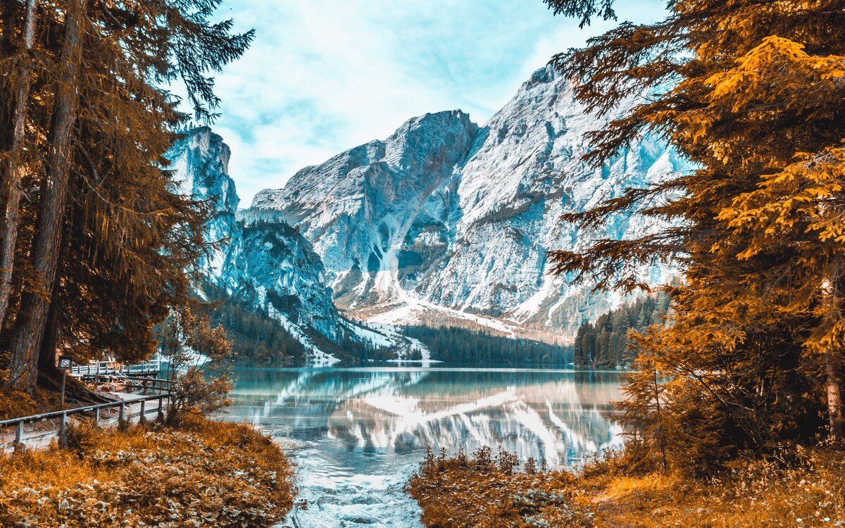 Фото автора Pixabay : Pexels