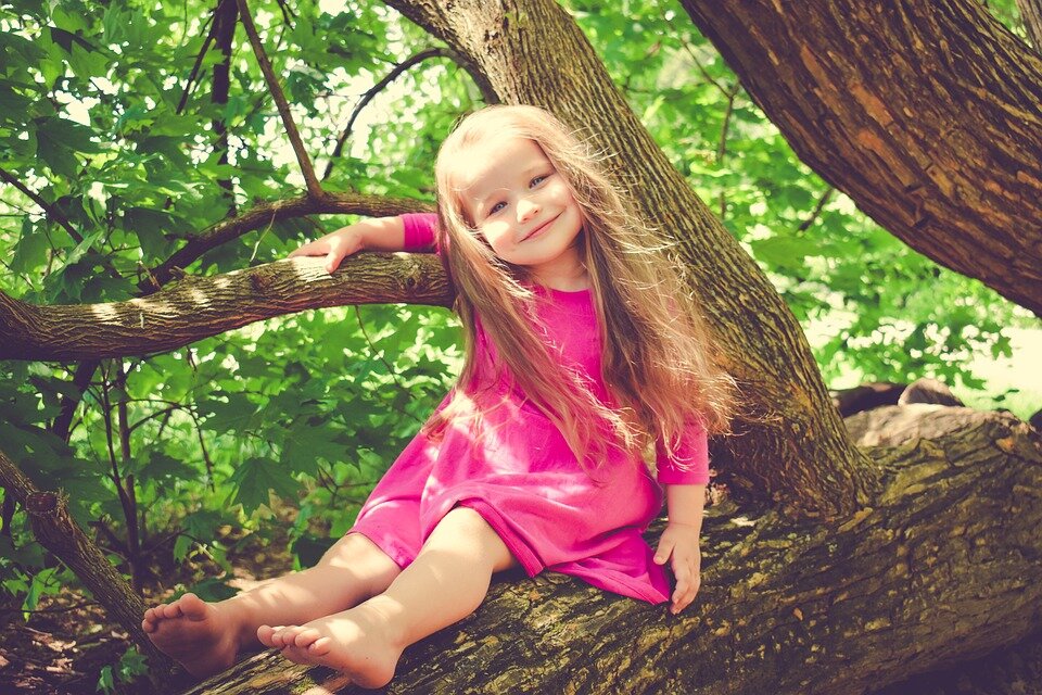 https://pixabay.com/photos/girl-child-children-toddler-youth-3402351/