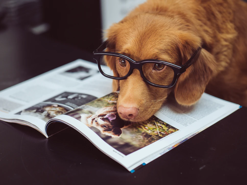 https://unsplash.com/photos/MoDcnVRN5JU