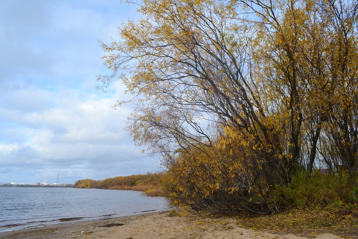 Осень , прохладно и красиво.