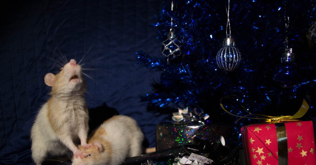 Для иллюстрации