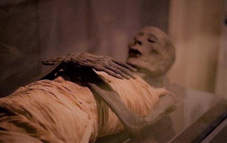 мир legendary,днк,геном,мумия,наука,египет,история