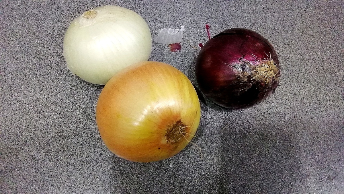 Вот такой лук продают наборами "Ассорти". Фото автора. 