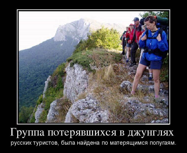 яндекс картинки