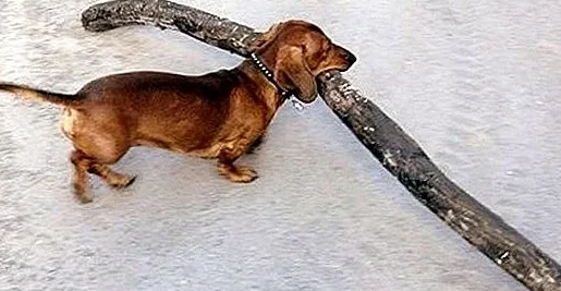 Источник: pinterest.com