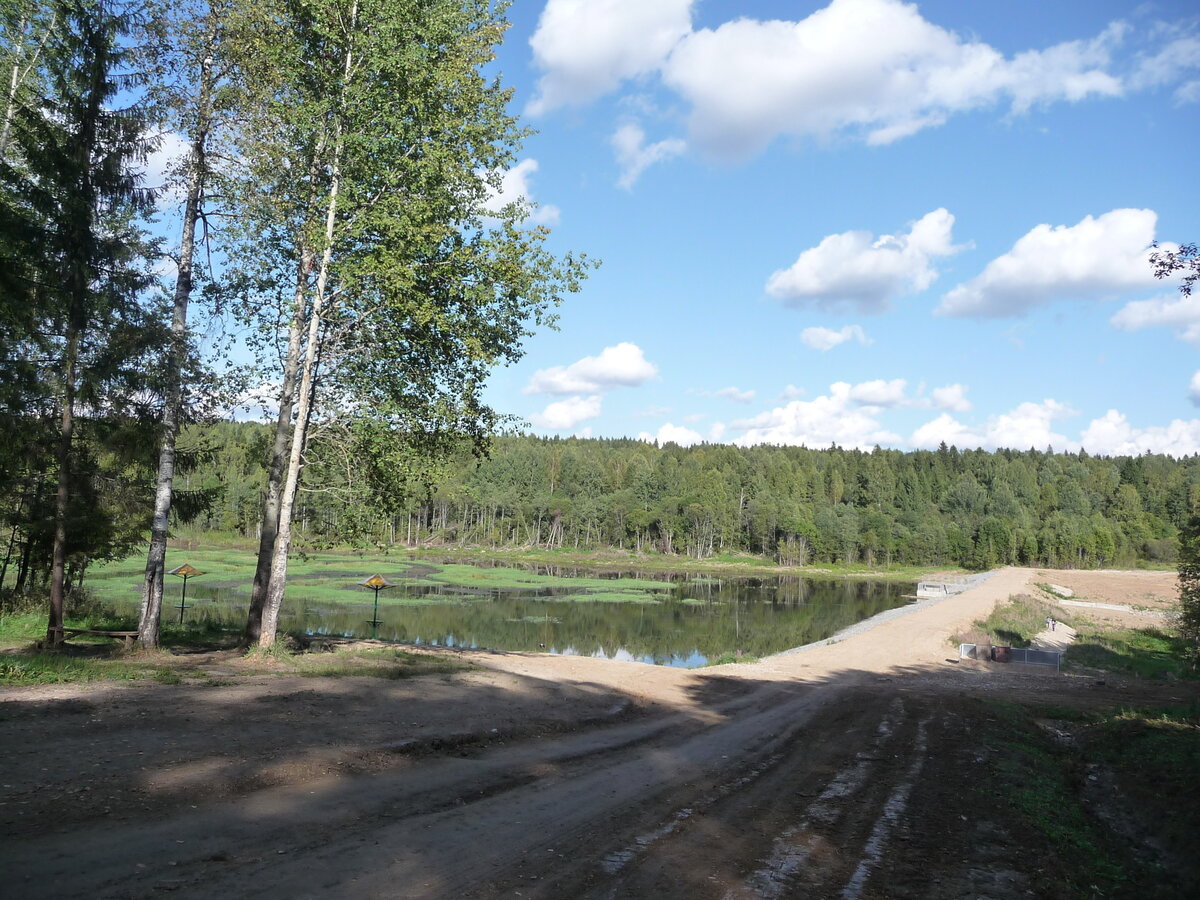 Затерянный авиационный городок в вологодских лесах. Экскурсионный тур на  праздник авиации? Почему бы и нет | Чашка кофе вместе с Anna G | Дзен