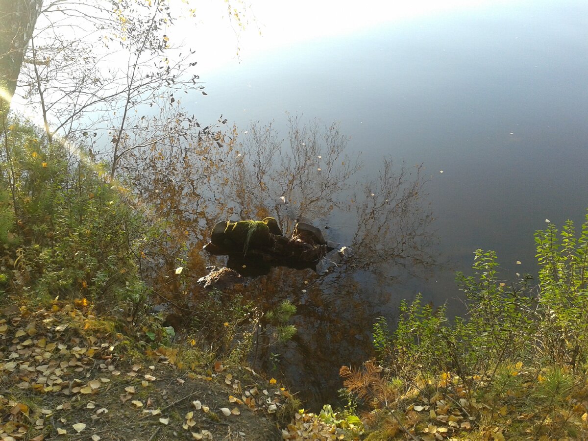 Фото автора.