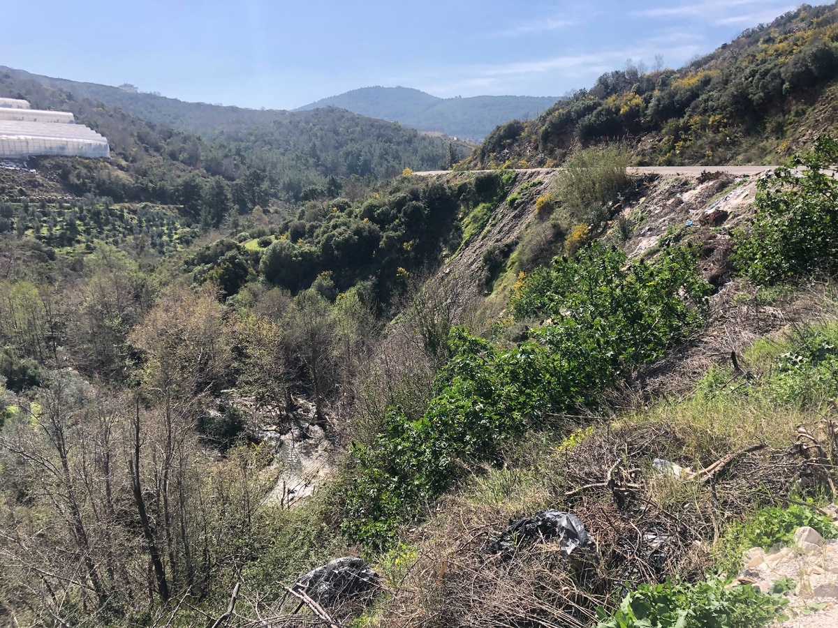 Фото: Aleksandr Bubnov