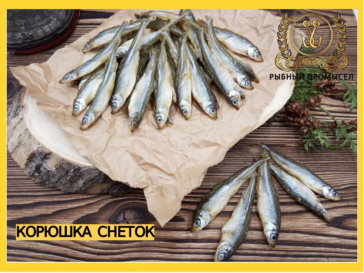 Корюшка снеток