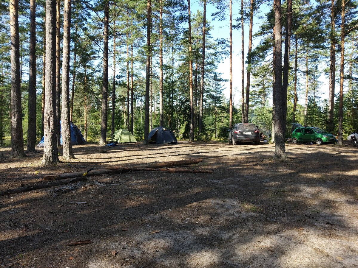 Природа Приозерского района Ленинградской области