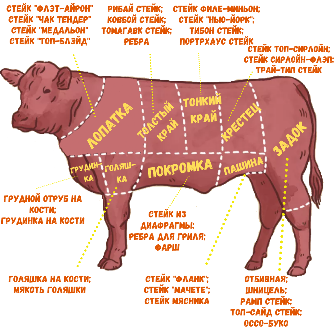 Рибай стейк рисунок