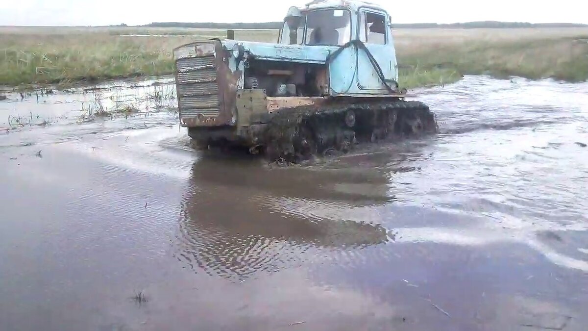 Фото из Яндекс Картинок