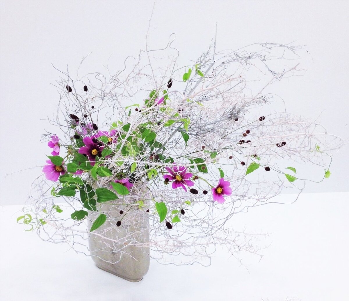 Гвоздика Ikebana