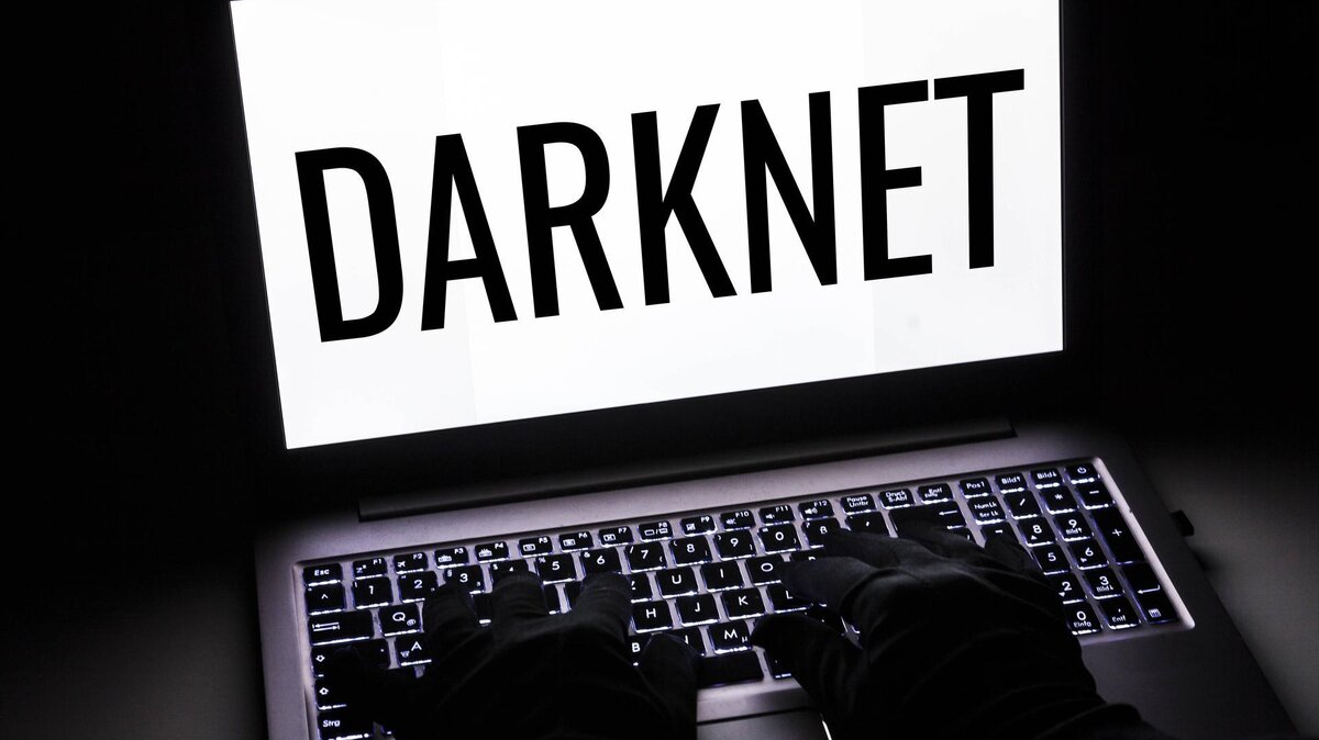 DarkNet
