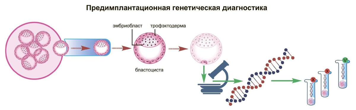 ПГД (как происходит) источник сайт https://eko-vitalis.ru/