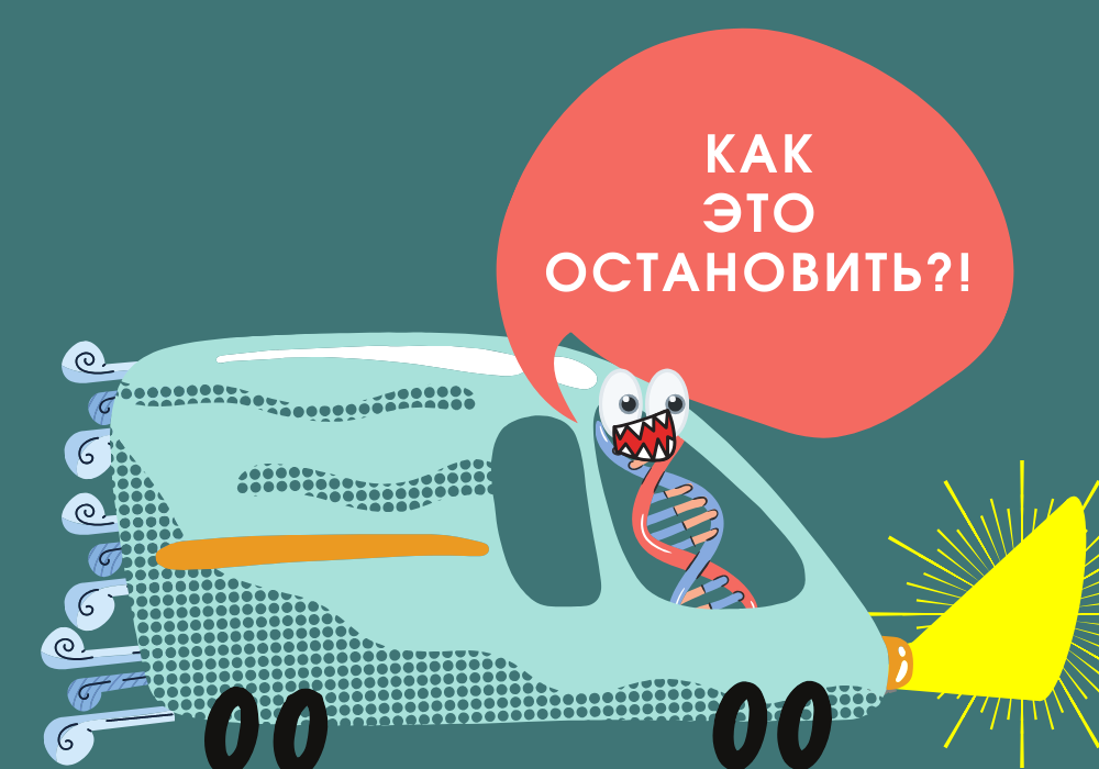 Впереди — годы работ по уточнению того, как все эти детали позволяют «автомобилю» двигаться.