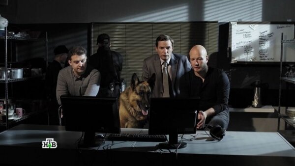 Денис в сериале «Пес»