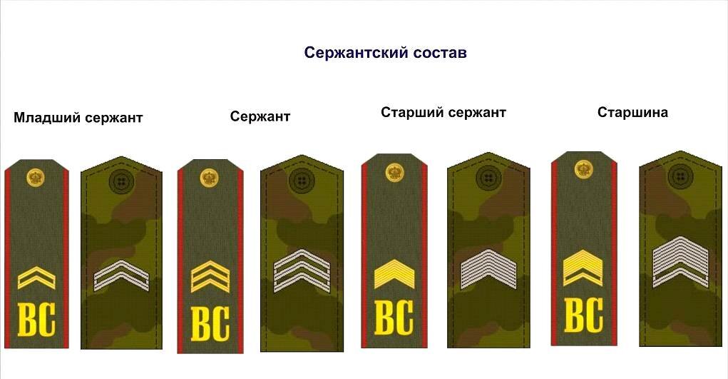 Воинские звания по возрастанию в армии россии. Таблица воинских званий в российской армии. Звания воинские рф войсковые. Сержант это офицер или нет. Сержант это офицер или нет.
