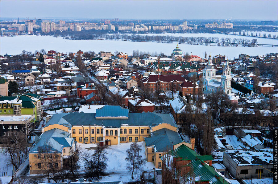 Воронежские низы. Здесь и далее фото автора