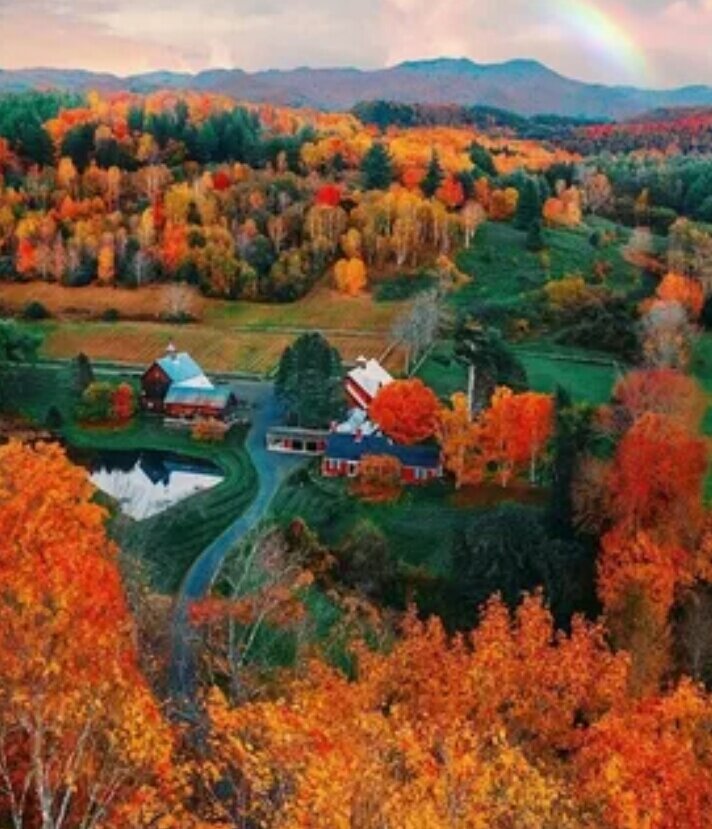 Яндекс.картинки