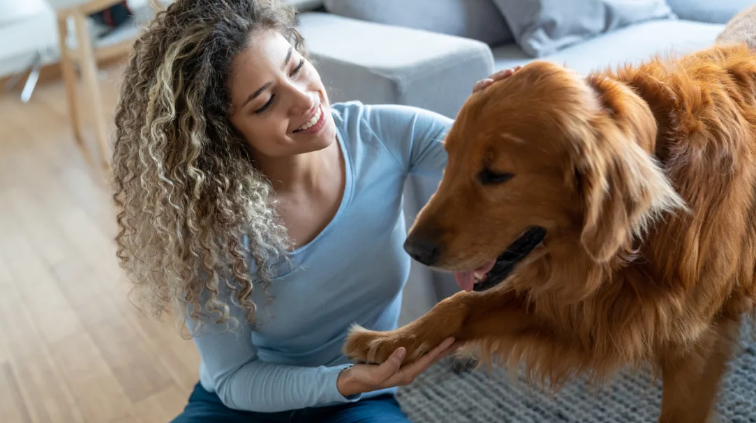 Фото из свободных источников