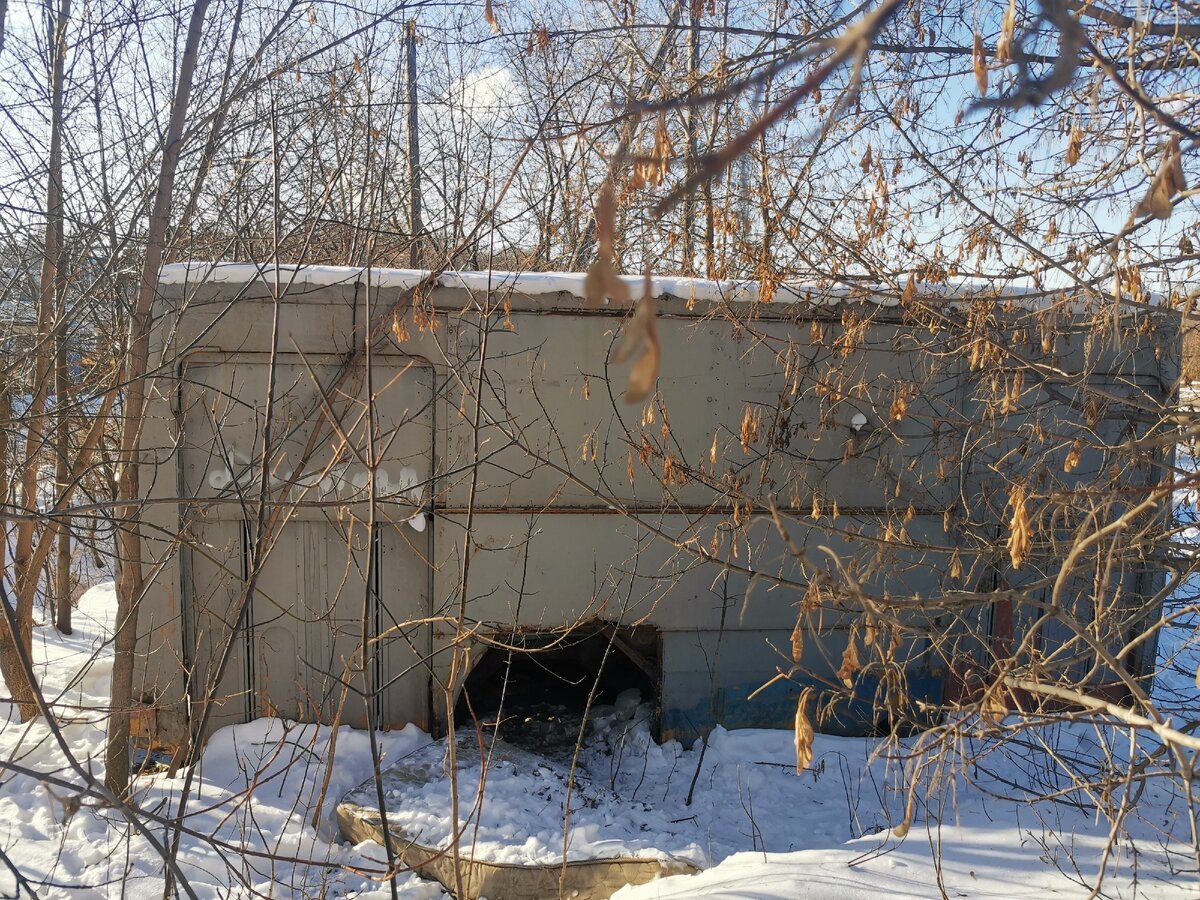 Через ветки видно две пассажирских двери. Всего в этом автобусе их было четыре!