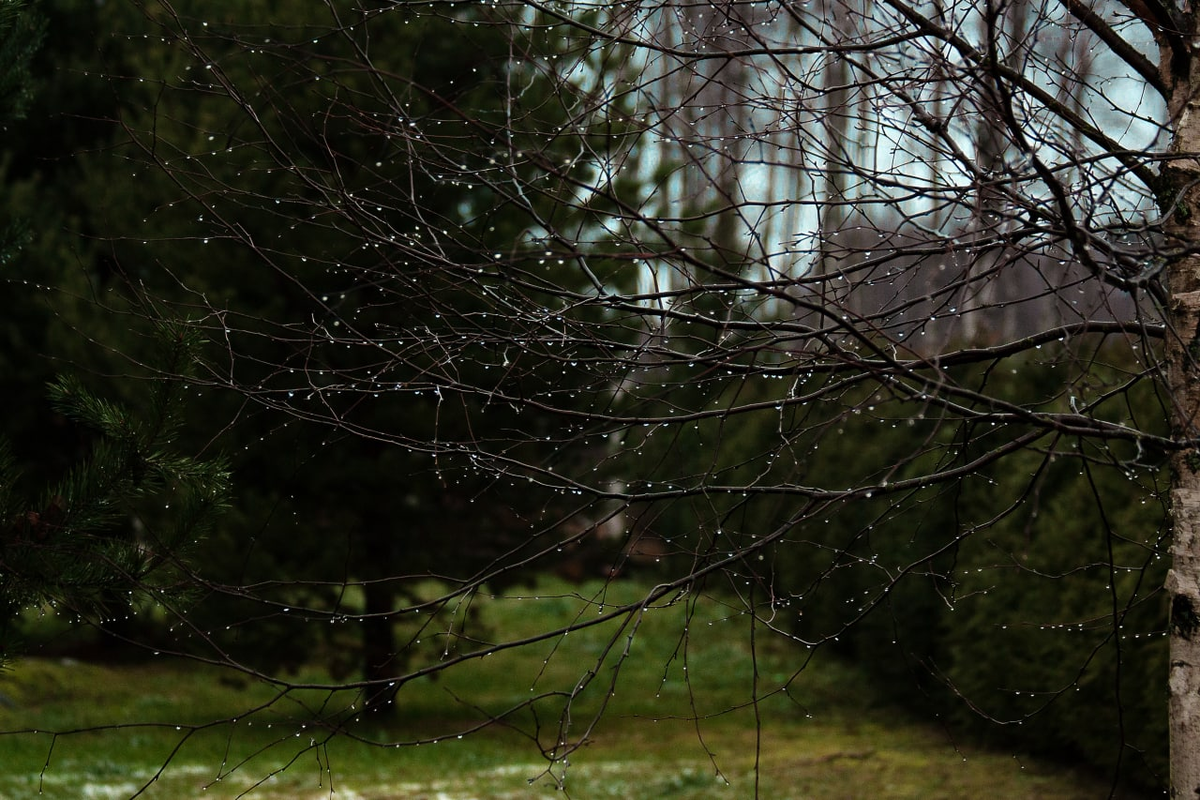 День все короче и короче