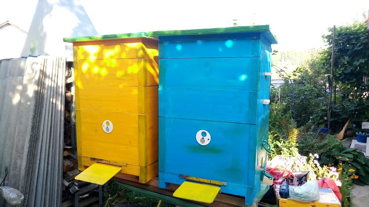 Пчелиные улики