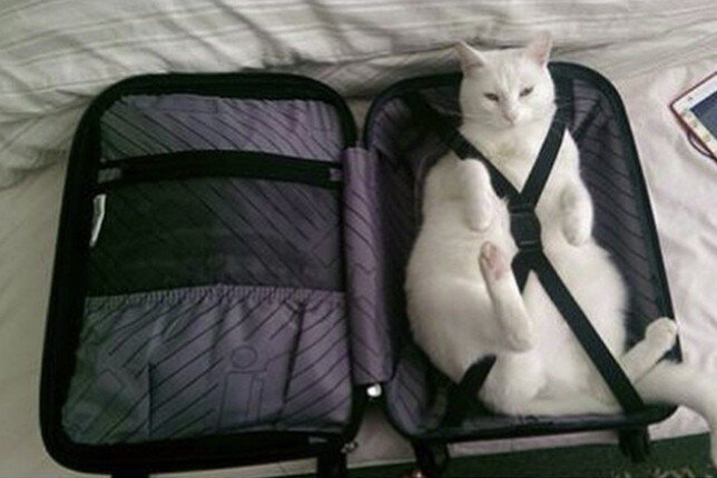 Источник: pinterest.com