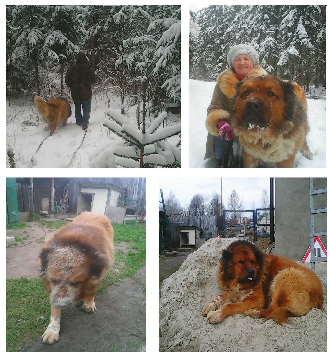 Всю весну погода менялась (то снег, то дождь, то солнышко)