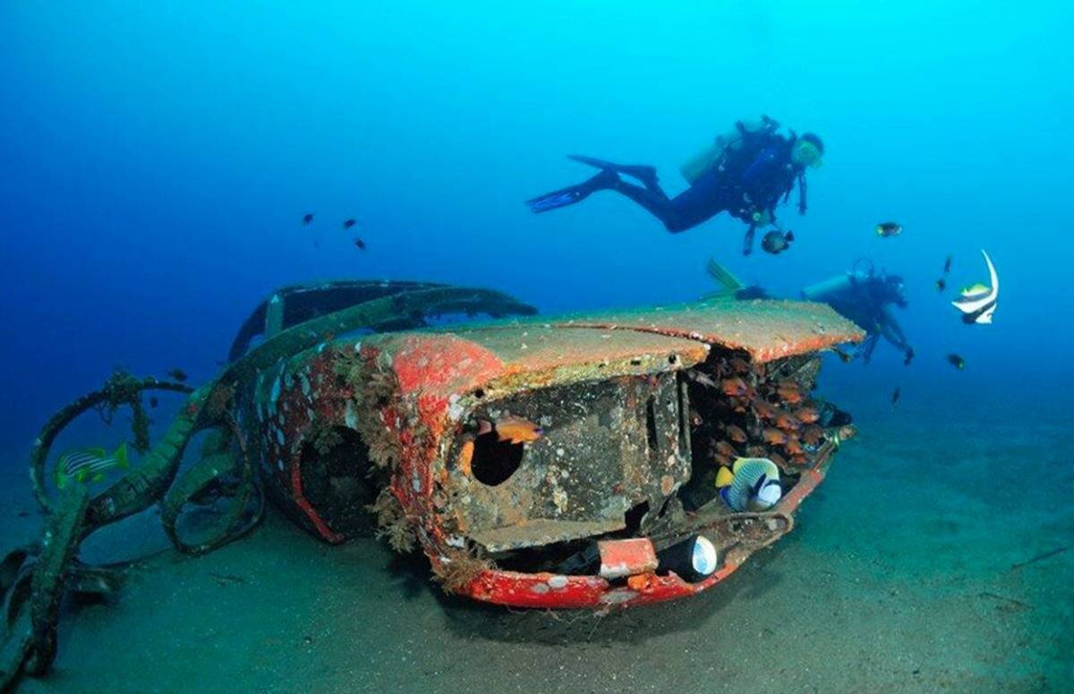 Изображение: Adam Taylor/Pinterest