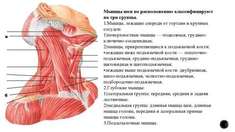 14 продуктов, которые нужно есть после тренировок