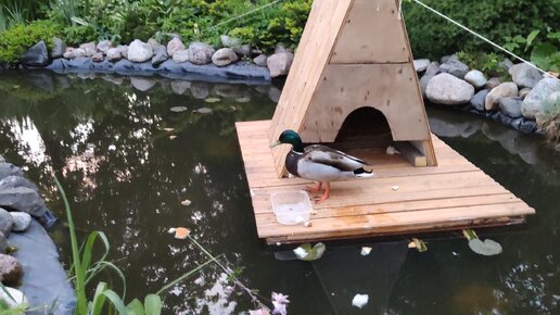 Домики для уток на воде 