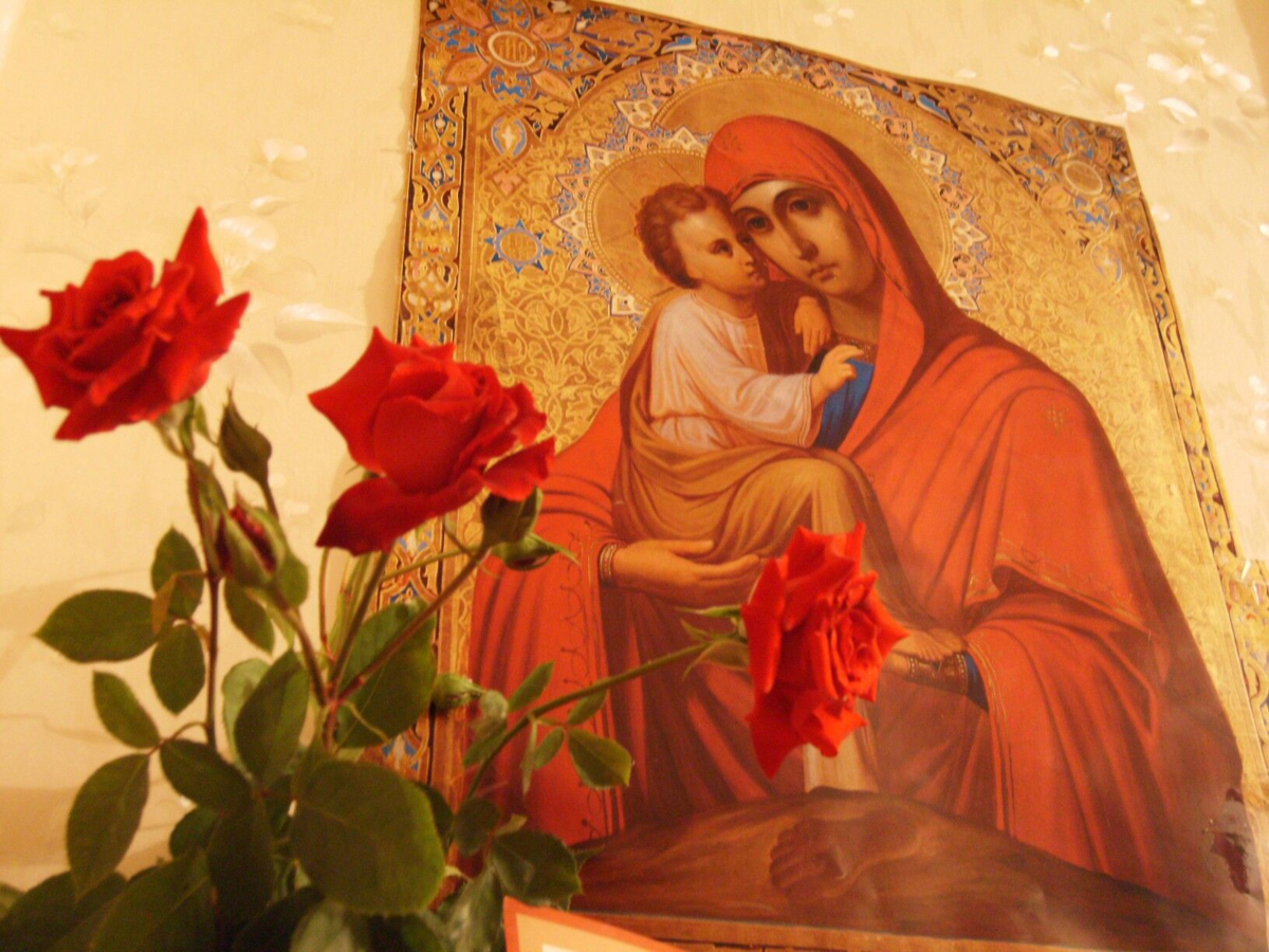 фото взято с яндекс.картинки 